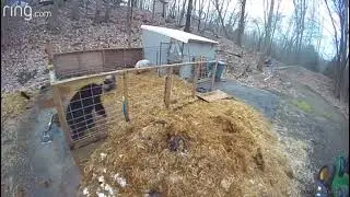 Ребята, я не туда зашёл.