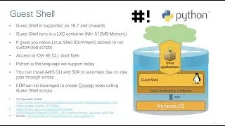 CSR1000V CloudNative Capability (GuestShell) on AWS