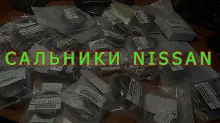 САЛЬНИКИ NISSAN