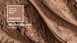 2025 Pantone Color of the Year: MOCHA MOUSSE