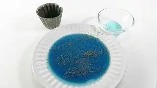Magic Pepper and Soap Experiment