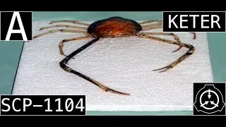 SCP-1104 