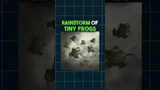 The Mystery of Animals Raining from the Sky #FrogRain #UnexplainedPhenomena #WeirdWeather