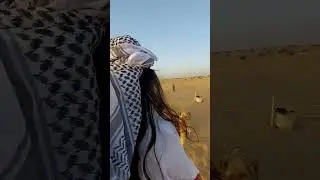 Desert Safari Camel Ride Experience | Dubai Desert Safari