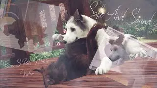 Safe and Sound S3PMV