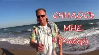 Снилось мне (кавер).