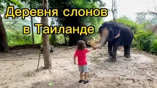 Рассказываю, как мы съездили покормить слонов в Таиланде в городке Хуа Хине