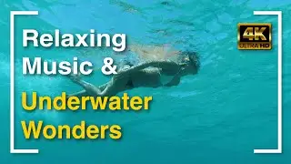3 Hours of Underwater Wonders in 4K & Relaxing Music | Coral Reefs & Colorful Marine Life in UHD