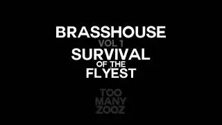 Too Many Zooz - Flightning (Audio) | Brasshouse Volume 1