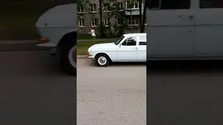 кайфовая ретруха #газ24 #волга24 #ретромашины #ссср #хит #мапед #панк