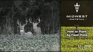 How to Plant Ag Food Plots | Midwest Whitetail