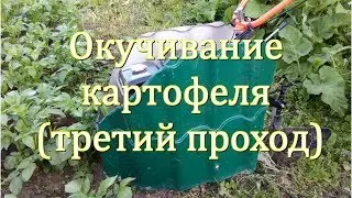 Окучивание картофеля.Третий проход