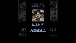 Let Me Hold You - Bow Wow (Original Sample Loop)