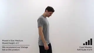 Custom NEXT LEVEL 50/25/25 UNISEX T-Shirt Style 6010 360° Product Video by Coed Monkey