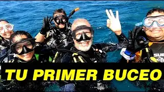 4 Tips Para que tu Primer Buceo sea un Éxito
