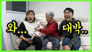 치매할머니한테 증손자를 맡기면 생기는 일