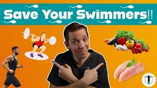 BOOST Male Fertility TODAY: Lifestyle Tips, Exercises, Vitamins AND Medications!!