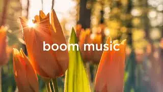 No Copyright Piano music / Free To Use Music