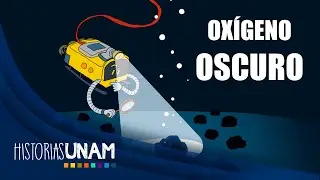 Oxígeno oscuro: generador de vida en las profundidades marinas