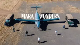 Mara Wonders