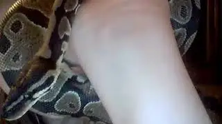 snek
