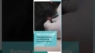 Тонко игольная биопсия / ТИБ