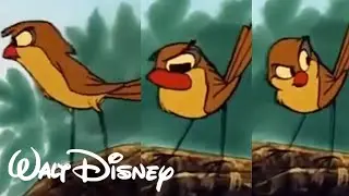 Disney 🐥 SNAPPY 🐥 Bird Animation TUTORIAL