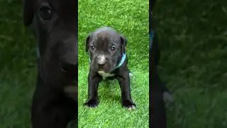 Малыш свободен🥰