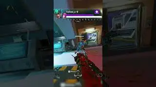 any gun goes well with the wingman this season #apexlegends