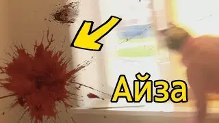 ПАРОДИЯ Моя кошка Айза пыталась сожрать птицу ЕГОРА ДИ