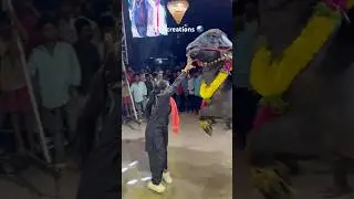 SWAPNA YADAV SADAR AGMAN 2024 | sadar festival grand Celebration 2024 | 