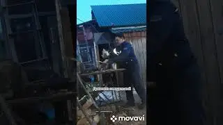 Дровокол винтовой