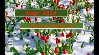Чему вы порадуетесь в марте 2024 года. Найдите в себе силы быть на позитиве!