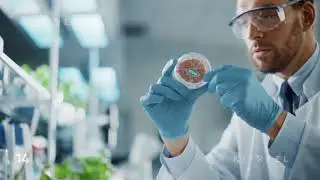 Laboratory 8: Food - Stock Footage Collection