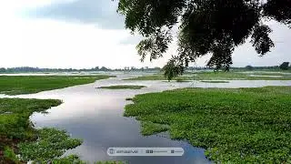My Video