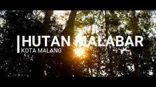 CINEMATIC VIDEO HUTAN MALABAR, MALANG