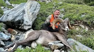Montana Bighorn Sheep Hunt