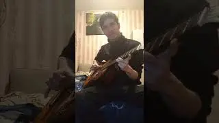 беливер на гитаре