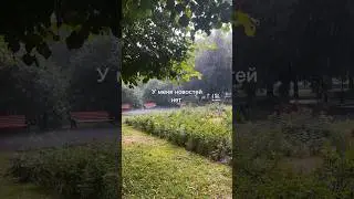 Идеальная песня для завершения лета!✨😍