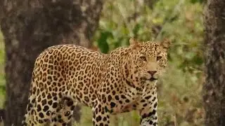 एक सेकिंड मे Death😱||CCTV Viral || #viralvideo