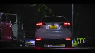 Honda Vezel (Cars are better than people )