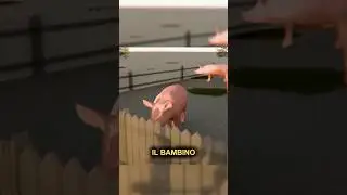 Was the pig in love? 🤔