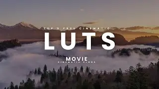 The Top 5 Best Free Cinematic LUTs 2025