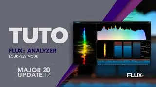 Loudness Mode with the FLUX:: Analyzer
