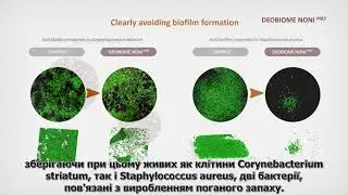 DEOBIOME NONI™ —  пребіотичний косметичний дезодорант від іспанського виробника Vytrus.