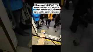 Animal lovers ❤️🫡