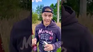 РЫБАЛКА С ДЕДОМ 🤣😆