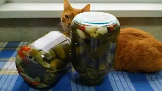 Фантастические огурчики от подруги бывшей жены.