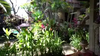 man opening curtains on the window to see the beautiful green tropical view, travel concept, asian