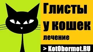 Глисты у кошек — лечение